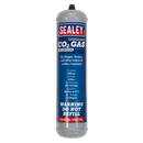 Sealey CO2/100 Disposable Carbon Dioxide Gas Cylinder 390g