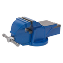 Sealey BGVDSCOMBO1 Professional Vice Stand Deal