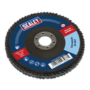 Sealey FD10060 100mm Zirconium Flap Disc 16mm Bore 60Grit