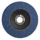 Sealey FD10060 100mm Zirconium Flap Disc 16mm Bore 60Grit