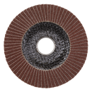 Sealey FD10060E 100mm Aluminium Oxide Flap Disc 16mm Bore 60Grit