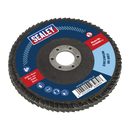 Sealey FD10080 100mm Zirconium Flap Disc 16mm Bore 80Grit
