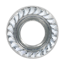 Sealey FN10 Zinc Plated Serrated Flange Nut DIN 6923 - M10 - Pack of 100