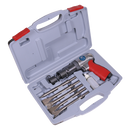 Sealey GSA11 Long Stroke Air Hammer Kit