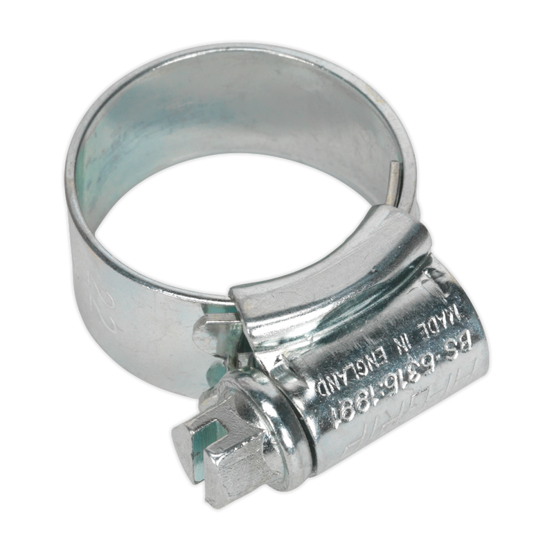 Sealey HCJ0 14-22mm Zinc Plated HI-GRIP Hose Clip - Pack of 30