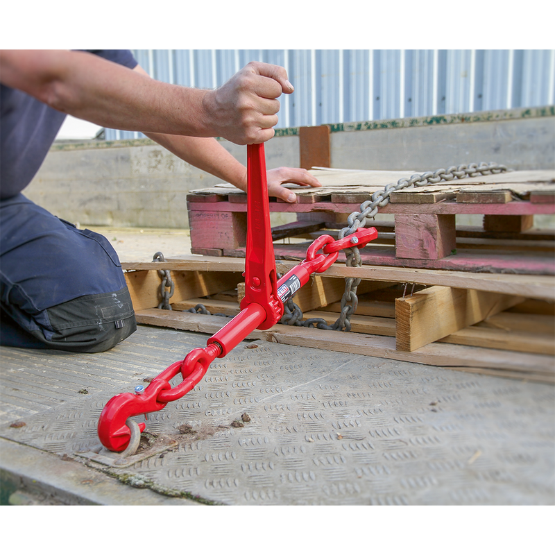 Sealey LB002 4200kg Capacity Ratchet Load Binder 9.5-12.7mm