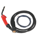 Sealey MIG/T15 MIG Torch with 3m Euro Connector MB15