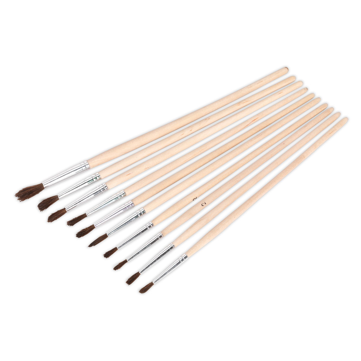 Sealey PB2 10pc Wooden Handled Touch-Up Paint Brush Assortment