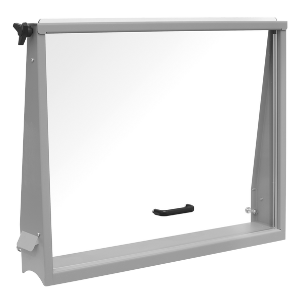 Sealey PPFSG4 Safety Guard for PPF100S