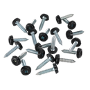 Sealey PTNP7 4.8 x 24mm Black Numberplate Screw - Pack of 50