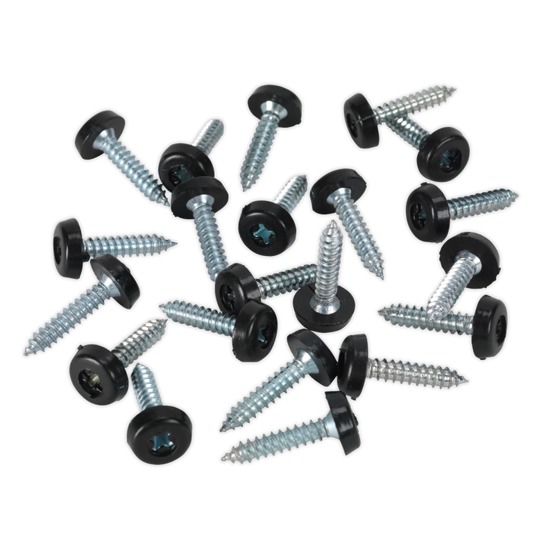 Sealey PTNP7 4.8 x 24mm Black Numberplate Screw - Pack of 50