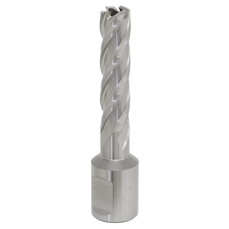 Sealey RBHSS12L 12mm Rotabor Cutter HSS - Cut Depth 50mm