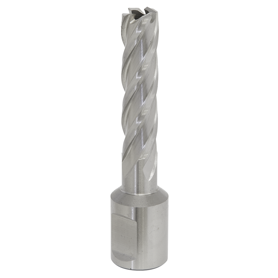 Sealey RBHSS12L 12mm Rotabor Cutter HSS - Cut Depth 50mm