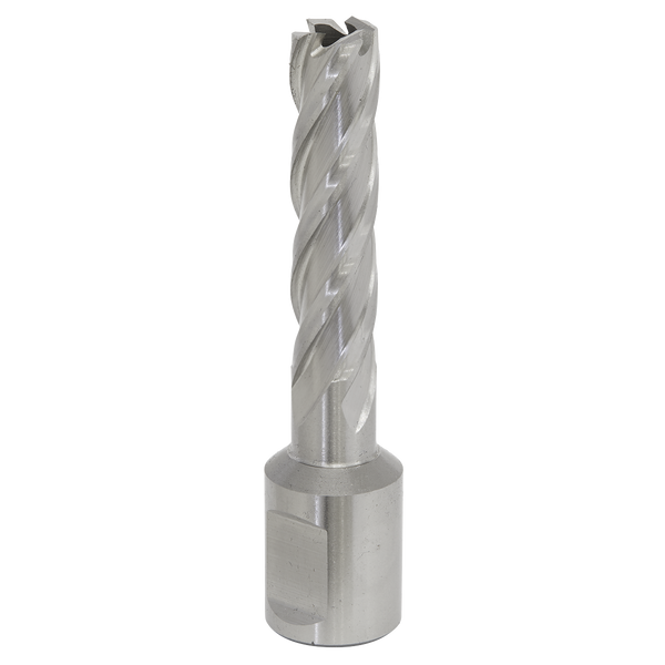 Sealey RBHSS12L 12mm Rotabor Cutter HSS - Cut Depth 50mm