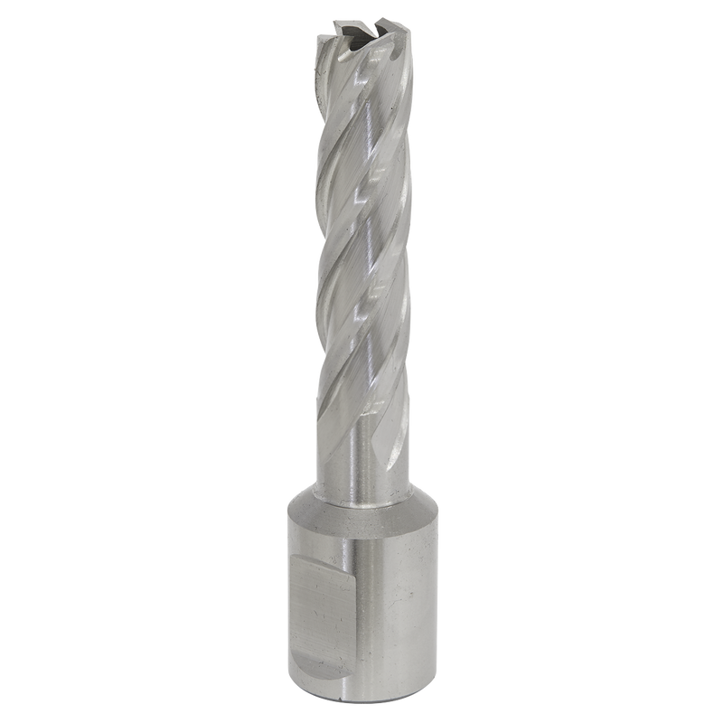 Sealey RBHSS12L 12mm Rotabor Cutter HSS - Cut Depth 50mm