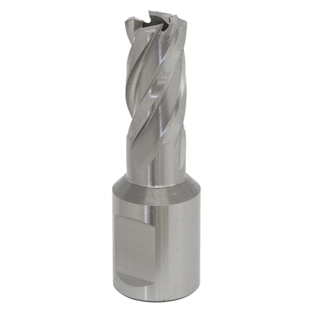 Sealey RBHSS12S 12mm Rotabor Cutter HSS - Cut Depth 25mm