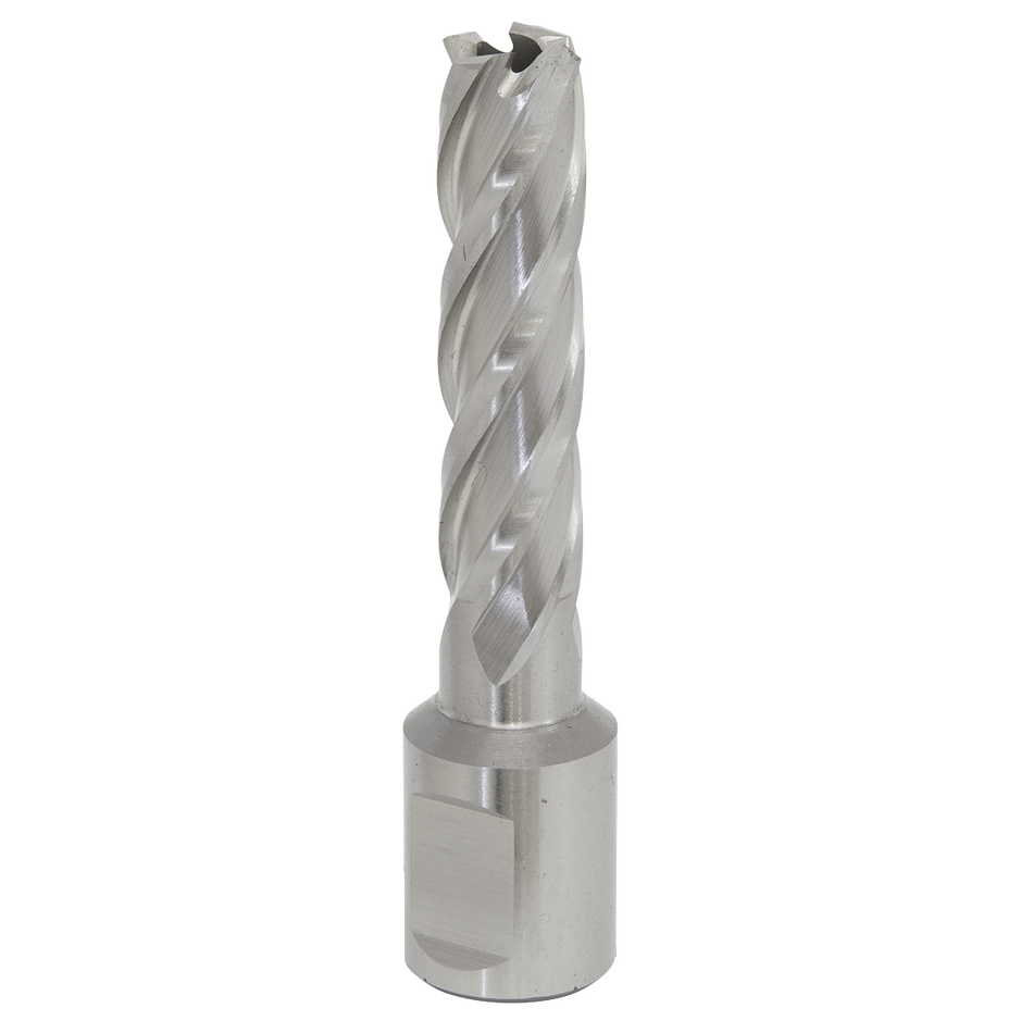 Sealey RBHSS13L 13mm Rotabor Cutter HSS - Cut Depth 50mm