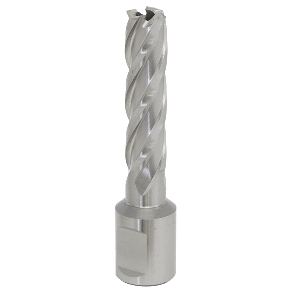 Sealey RBHSS13L 13mm Rotabor Cutter HSS - Cut Depth 50mm