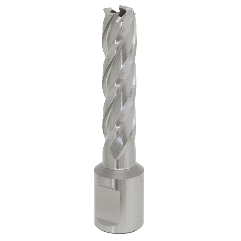 Sealey RBHSS13L 13mm Rotabor Cutter HSS - Cut Depth 50mm