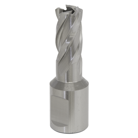 Sealey RBHSS13S 13mm Rotabor Cutter HSS - Cut Depth 25mm