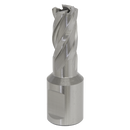 Sealey RBHSS13S 13mm Rotabor Cutter HSS - Cut Depth 25mm