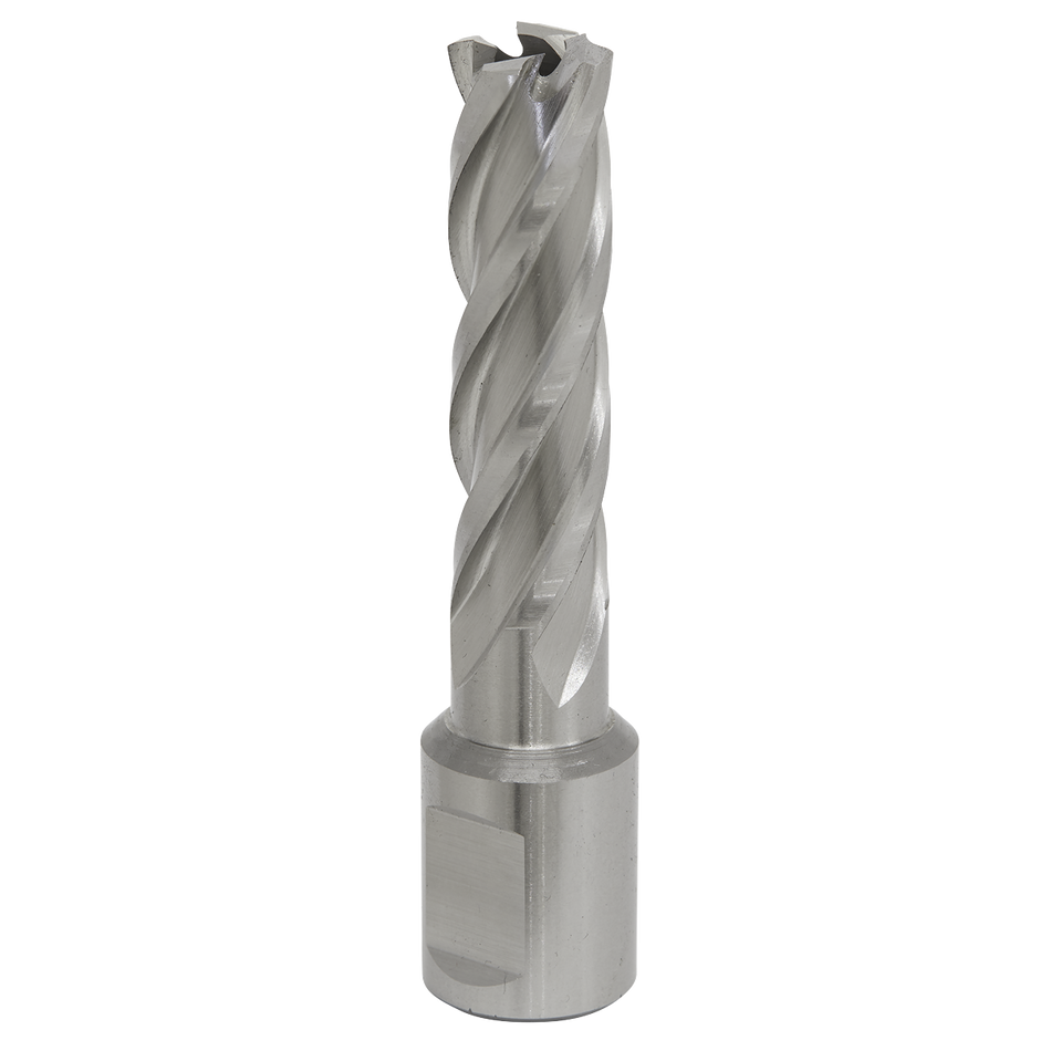 Sealey RBHSS14L 14mm Rotabor Cutter HSS - Cut Depth 50mm