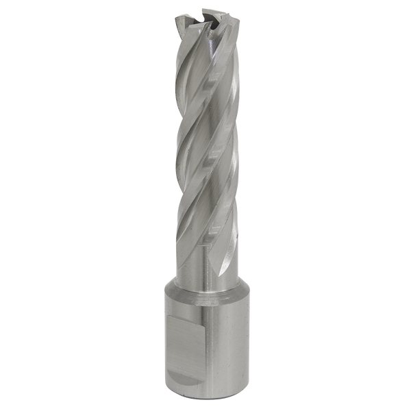 Sealey RBHSS14L 14mm Rotabor Cutter HSS - Cut Depth 50mm