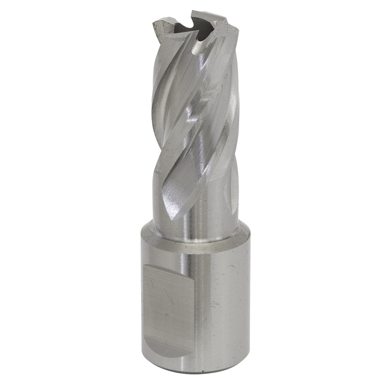 Sealey RBHSS15S 15mm Rotabor Cutter HSS - Cut Depth 25mm