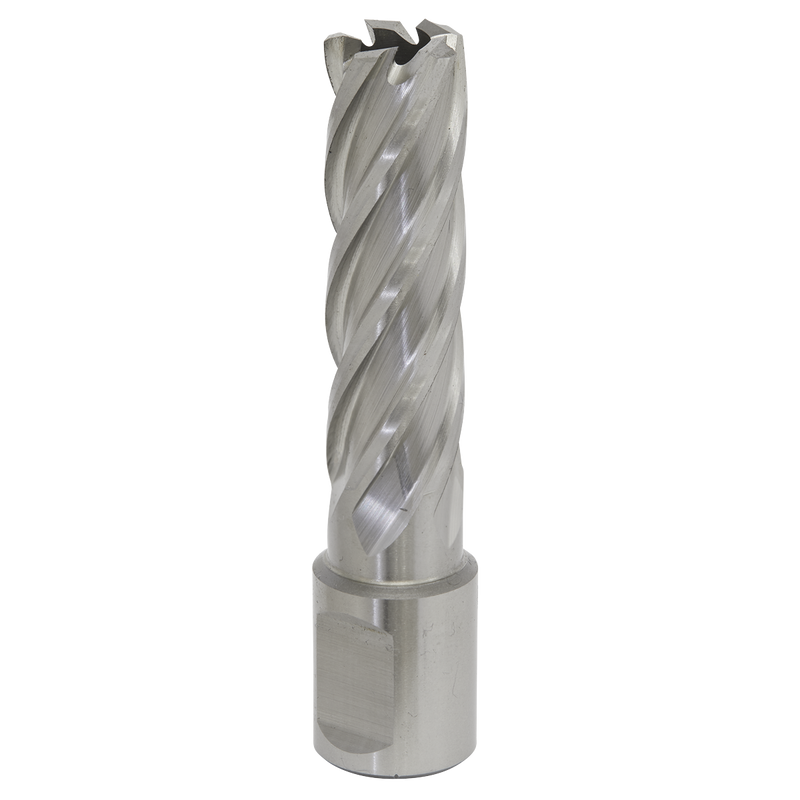 Sealey RBHSS16L 16mm Rotabor Cutter HSS - Cut Depth 50mm