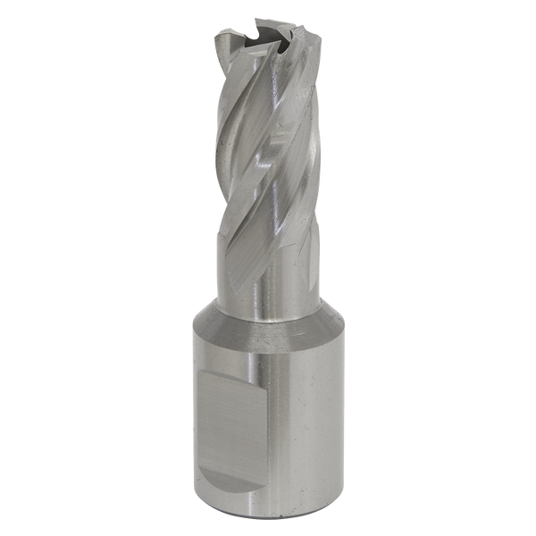 Sealey RBHSS16S 16mm Rotabor Cutter HSS - Cut Depth 25mm