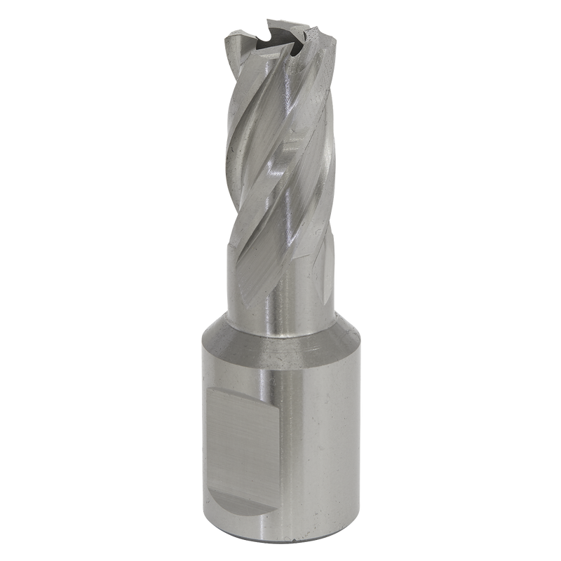 Sealey RBHSS16S 16mm Rotabor Cutter HSS - Cut Depth 25mm