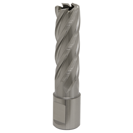 Sealey RBHSS17L 17mm Rotabor Cutter HSS - Cut Depth 50mm
