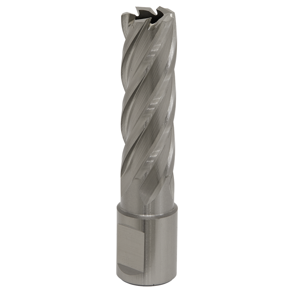 Sealey RBHSS17L 17mm Rotabor Cutter HSS - Cut Depth 50mm