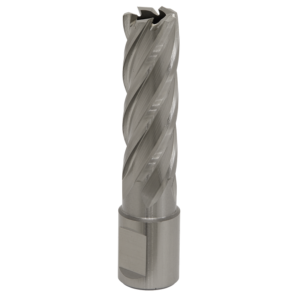 Sealey RBHSS17L 17mm Rotabor Cutter HSS - Cut Depth 50mm