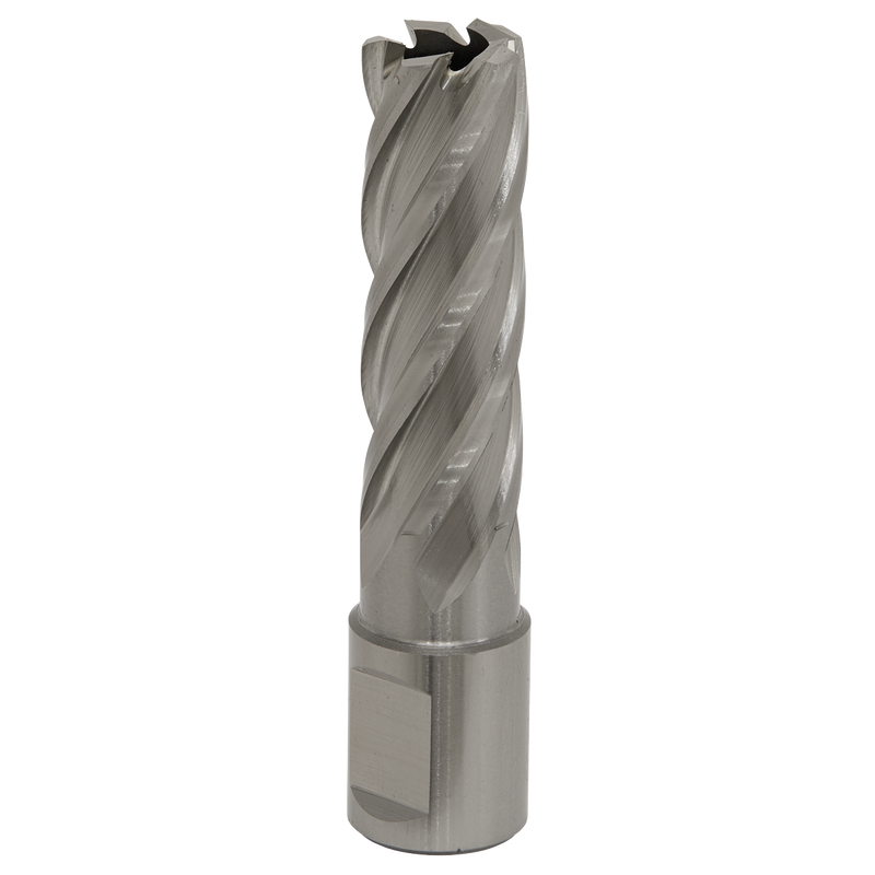 Sealey RBHSS17L 17mm Rotabor Cutter HSS - Cut Depth 50mm