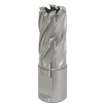 Sealey RBHSS17S 17mm Rotabor Cutter HSS - Cut Depth 25mm