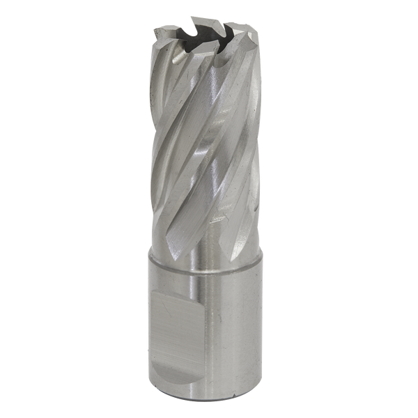 Sealey RBHSS17S 17mm Rotabor Cutter HSS - Cut Depth 25mm