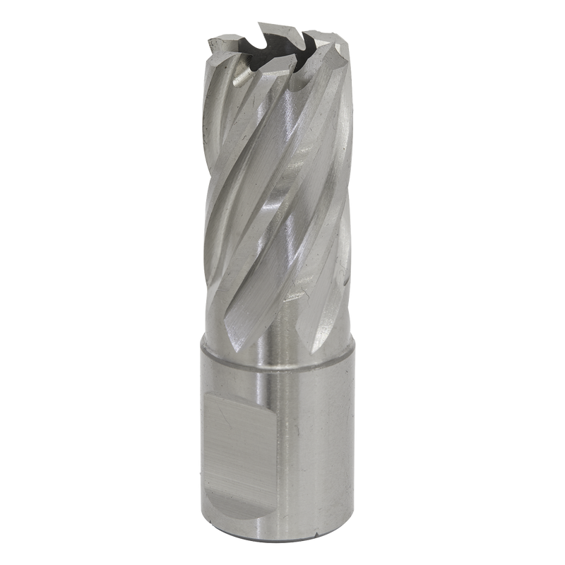 Sealey RBHSS17S 17mm Rotabor Cutter HSS - Cut Depth 25mm