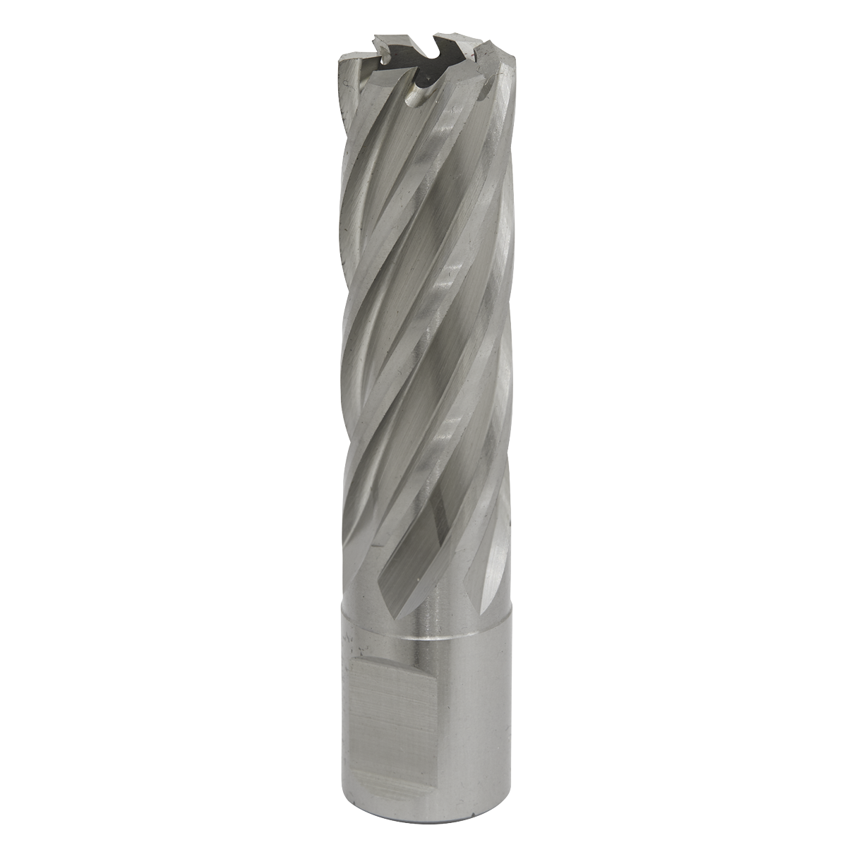Sealey RBHSS19L 19mm Rotabor Cutter HSS - Cut Depth 50mm