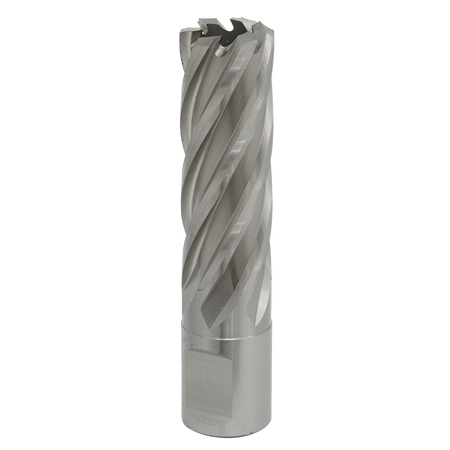 Sealey RBHSS19L 19mm Rotabor Cutter HSS - Cut Depth 50mm