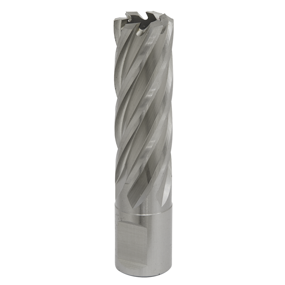 Sealey RBHSS19L 19mm Rotabor Cutter HSS - Cut Depth 50mm