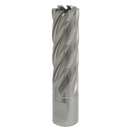 Sealey RBHSS19L 19mm Rotabor Cutter HSS - Cut Depth 50mm