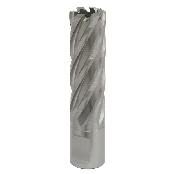 Sealey RBHSS19L 19mm Rotabor Cutter HSS - Cut Depth 50mm