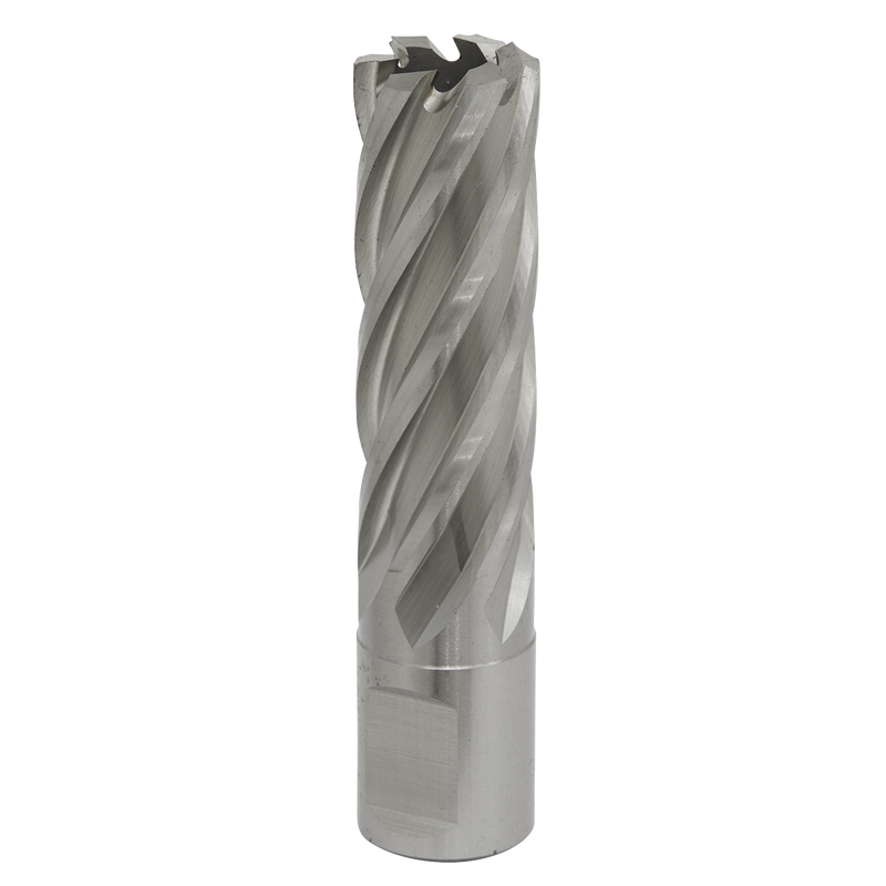 Sealey RBHSS19L 19mm Rotabor Cutter HSS - Cut Depth 50mm
