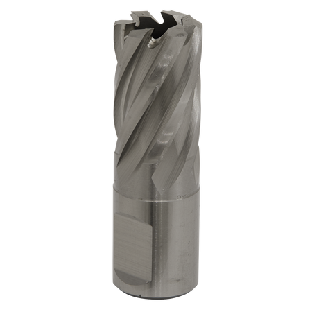 Sealey RBHSS19S 19mm HSS Rotabor Cutter - Cut Depth 25mm