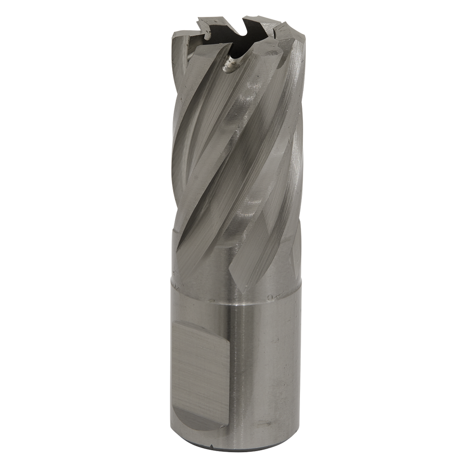 Sealey RBHSS19S 19mm HSS Rotabor Cutter - Cut Depth 25mm