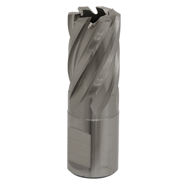 Sealey RBHSS19S 19mm HSS Rotabor Cutter - Cut Depth 25mm