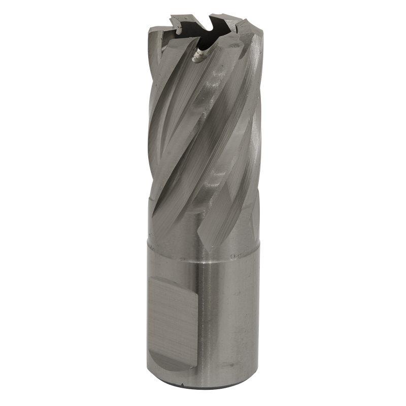 Sealey RBHSS19S 19mm HSS Rotabor Cutter - Cut Depth 25mm