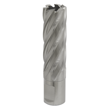 Sealey RBHSS20L 20mm Rotabor Cutter HSS - Cut Depth 50mm