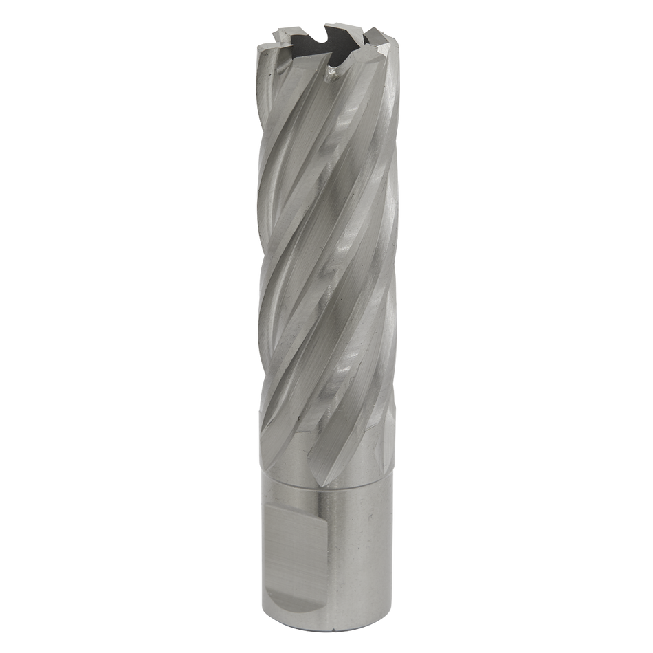 Sealey RBHSS20L 20mm Rotabor Cutter HSS - Cut Depth 50mm